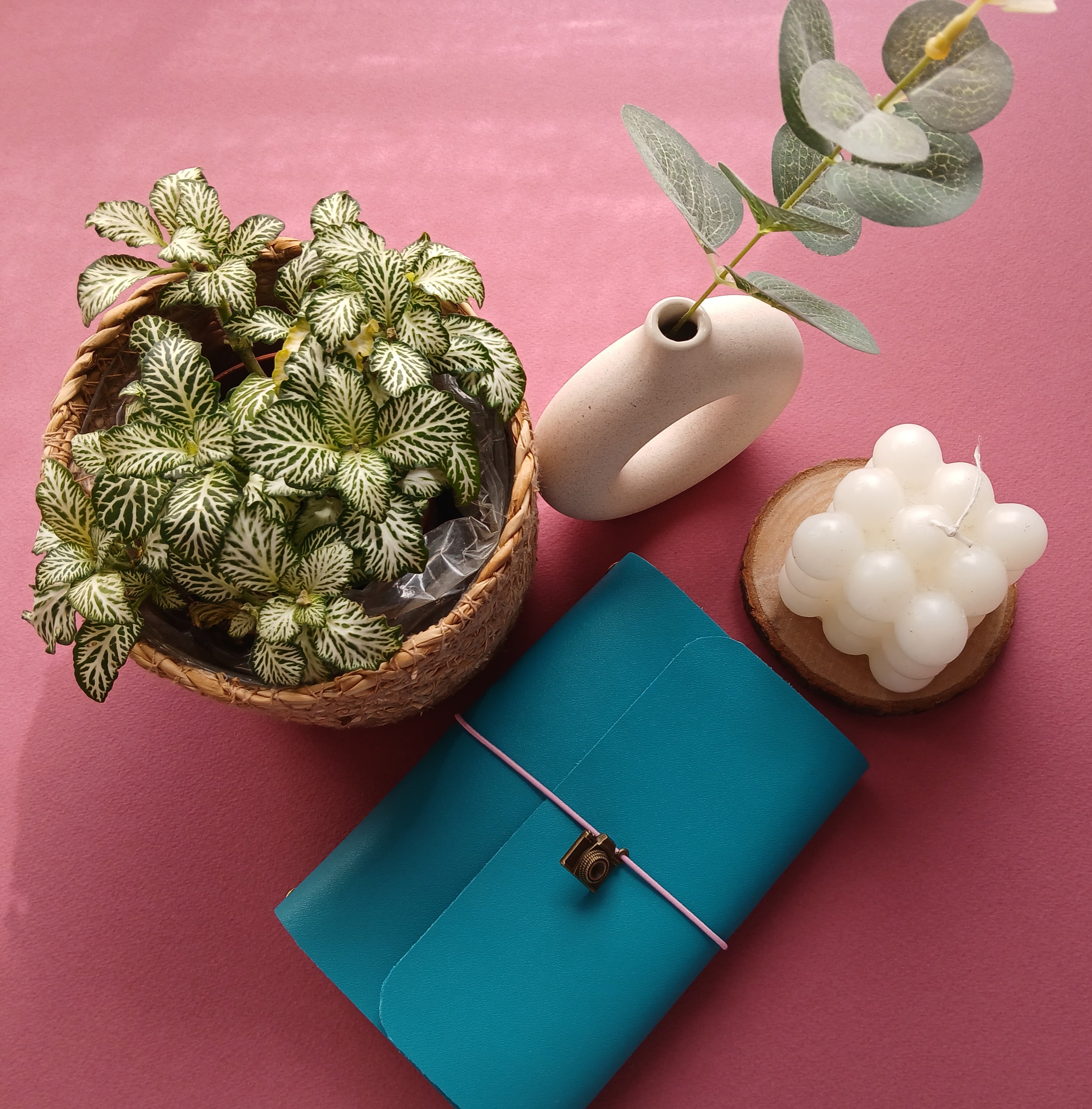 Midori de piel azul